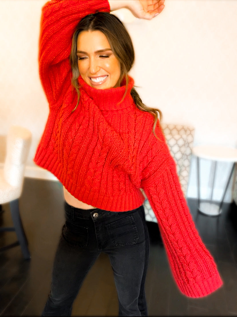 The Cici Cropped Turtleneck Sweater